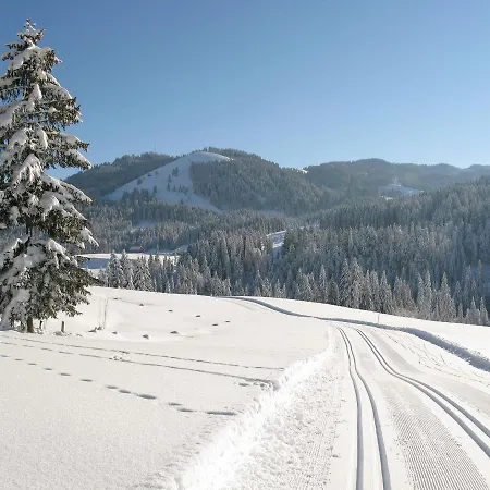 Alp-chalet Apartamento Bolsterlang