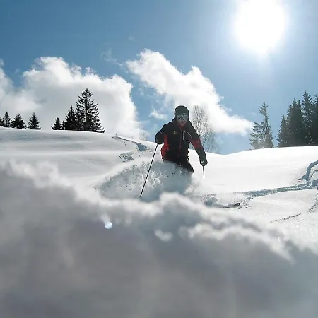 Alp-chalet