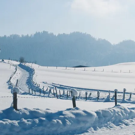 Alp-chalet