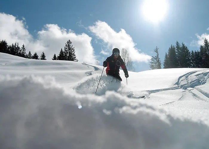 Alp-chalet
