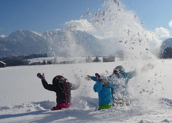 Apartmán Alp-chalet Bolsterlang