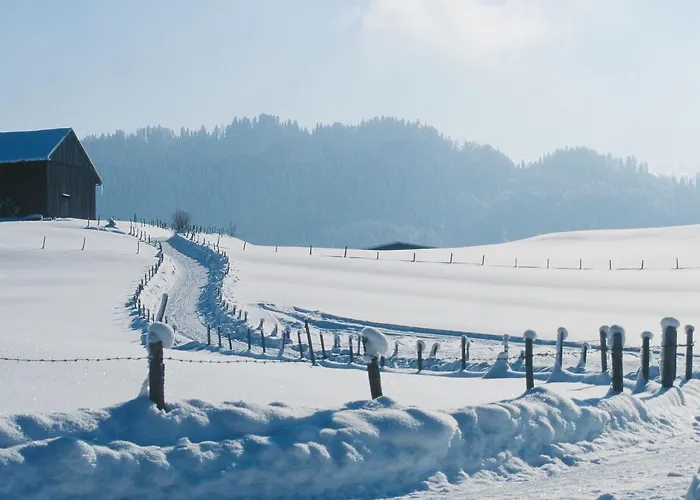 Alp-chalet